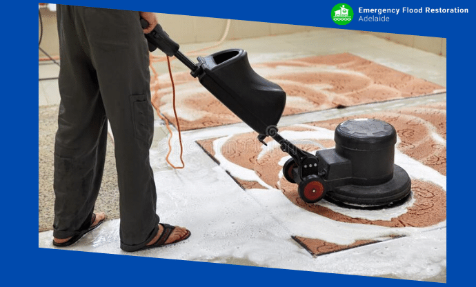 A-Step-by-Step-Guide-to-Dry-a-Flooded-Carpet