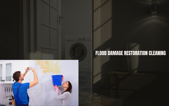 Flood Damage Restoration Cleaning Seaview Downs