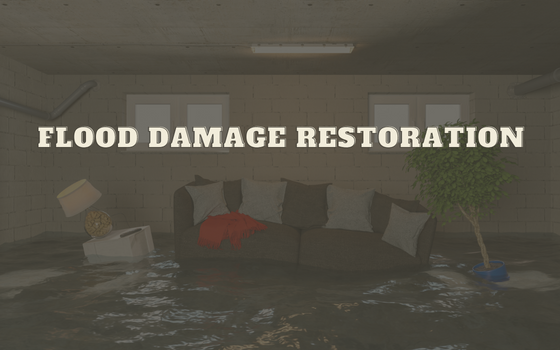 Flood Damage Restoration Cleaning Forestville