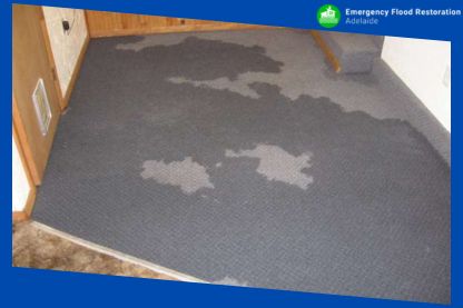 How-to-Dry-Wet-Carpet-Fast