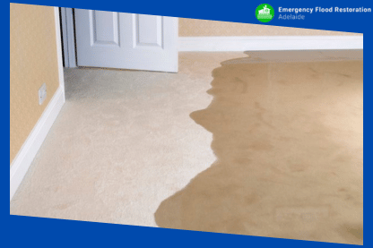 How-to-clean-carpet-after-flood-damage