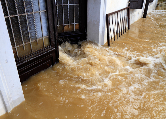 Flood Restoration Services in Glynde 